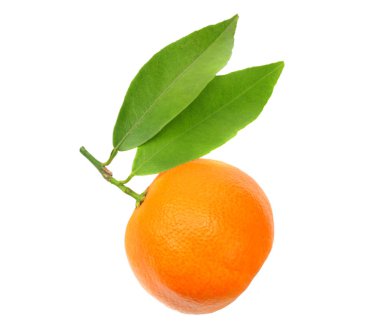 Beyaz arkaplanda yeşil yapraklı mandalina