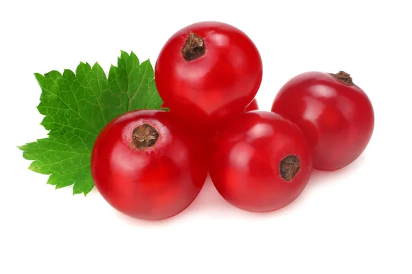 Grosella Roja Con Hoja Verde Aislada Sobre Fondo Blanco Macro — Foto de Stock