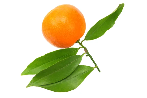 Una Mandarina Con Hoja Verde Aislada Sobre Fondo Blanco —  Fotos de Stock