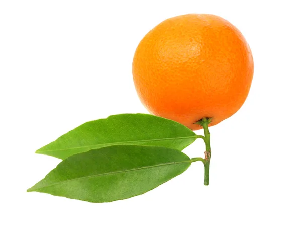 Mandarina Con Hoja Verde Aislada Sobre Fondo Blanco — Foto de Stock