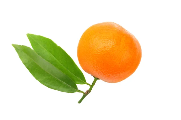Mandarin Med Grönt Blad Isolerad Vit Bakgrund — Stockfoto