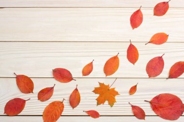 renkli sonbahar arka plan ahşap tahta üzerinde yapraklar. kopya alanı ile üstten görünüm