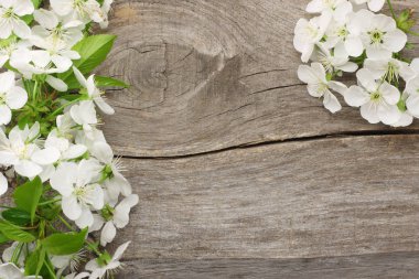 eski ahşap arka plan üzerinde beyaz kiraz çiçekleri. üstten görünüm