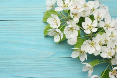 Arka plan beyaz çiçekler çiçekleri ile mavi ahşap arka plan bahar. üstten görünüm