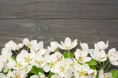 koyu ahşap arka plan üzerinde beyaz kiraz çiçekleri. üstten görünüm