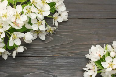 koyu ahşap arka plan üzerinde beyaz kiraz çiçekleri. üstten görünüm