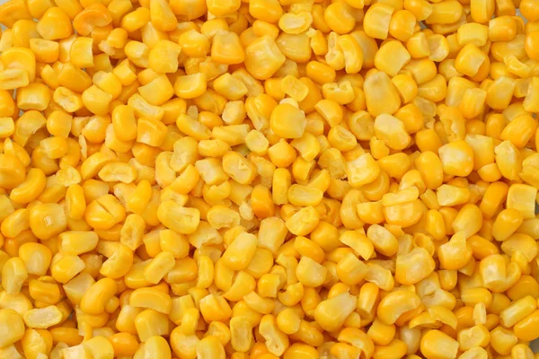 Friss Kukorica Vértes Háttér Kukorica Textúra — Stock Fotó