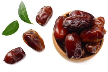 Üzerine yeşil yapraklar konmuş hurmalıklar. en üstteki görünüm