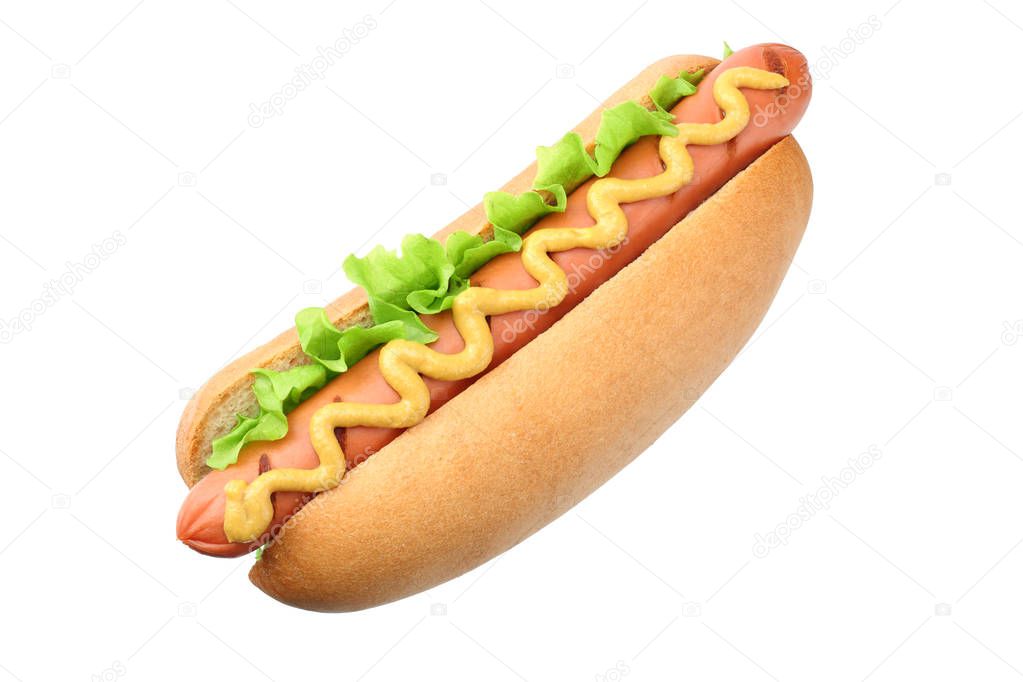 Hot dog grill with lettuce and mustard isolated on white background. fast food. 