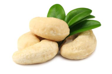 Beyaz arka plan üzerinde izole yeşil yaprakları ile kaşu 