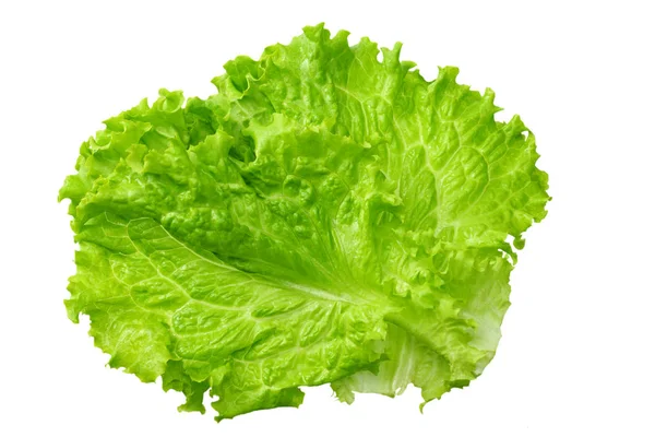 One salad leaf isolated on a white background — Stock Photo, Image