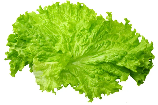 Een salade blad geïsoleerd op een witte achtergrond — Stockfoto