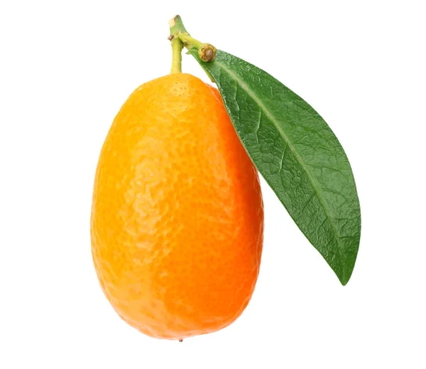 Un cumquat o kumquat con hoja aislada sobre fondo blanco — Foto de Stock