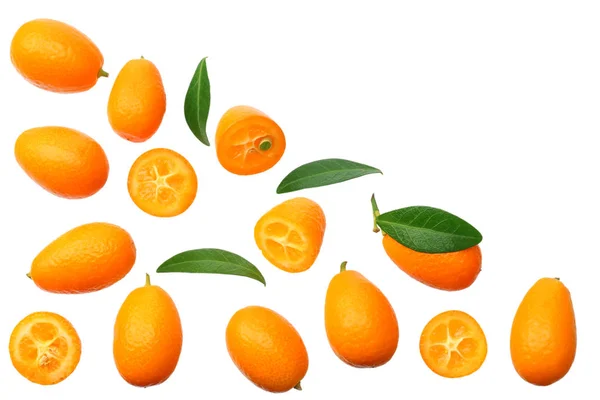 Cumquat ou kumquat avec des feuilles isolées sur fond blanc. vue de dessus — Photo