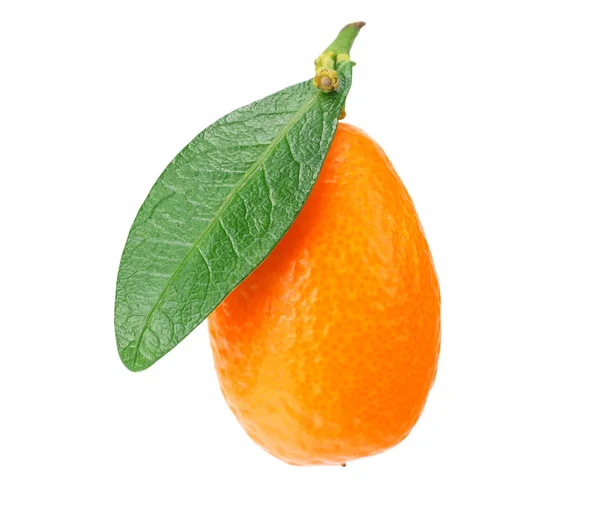 흰색 배경에 고립 된 잎이있는 하나의 cumquat 또는 kumquat — 스톡 사진