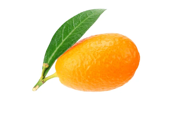 흰색 배경에 고립 된 잎이있는 하나의 cumquat 또는 kumquat — 스톡 사진