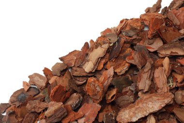 Beyaz arka planda izole edilmiş ağaç kabuğu parçaları. üst görünüm 