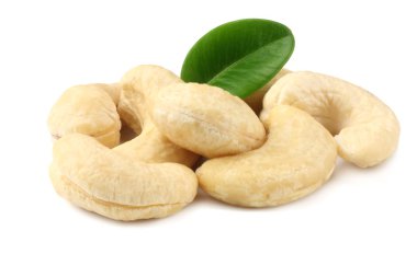 Beyaz arka plan üzerinde izole yeşil yaprakları ile kaşu 