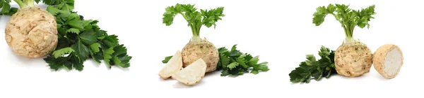 Sbírky celer. celer kořen s listem izolovaným na bílém pozadí. Celer izolovaný na bílém. Zdravé — Stock fotografie