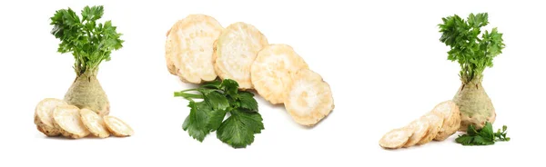 Celery collection. celery root with leaf isolated on white background. Celery isolated on white. Healthy — Stock Photo, Image