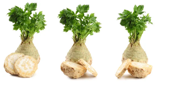 Sbírky celer. celer kořen s listem izolovaným na bílém pozadí. Celer izolovaný na bílém. Zdravé — Stock fotografie