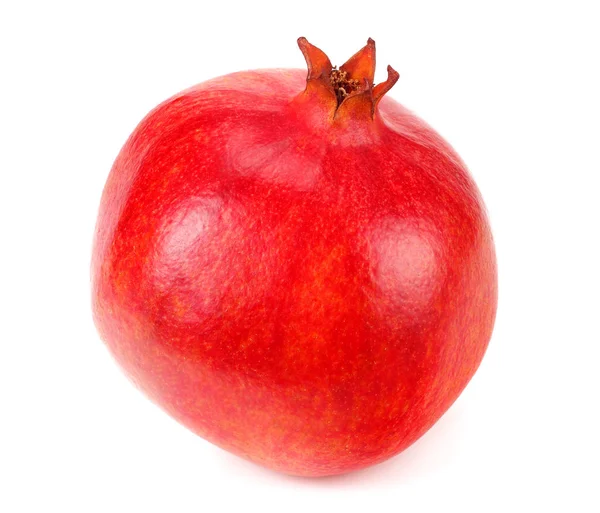 One pomegranate fruit isolated on a white background — Stock Photo, Image