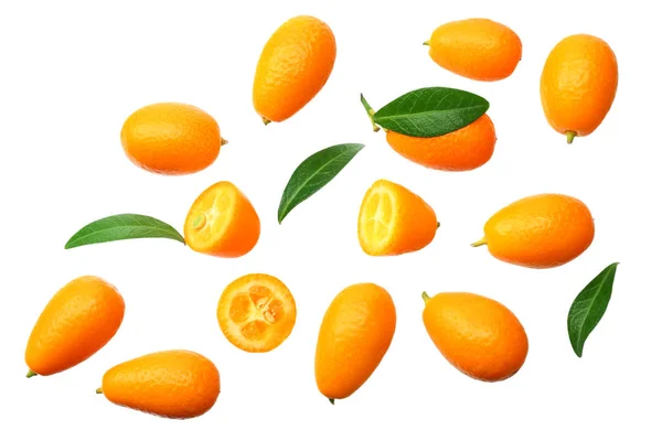 Cumquat ou kumquat avec des feuilles isolées sur fond blanc. vue de dessus — Photo