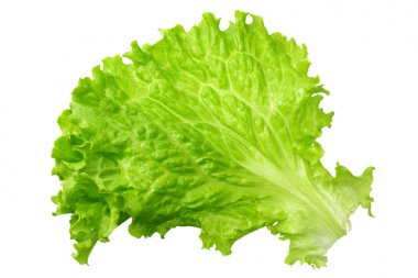 beyaz bir arka plan üzerinde izole bir salata yaprağı 