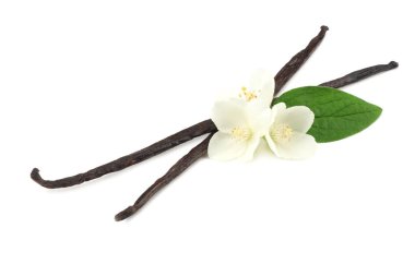 Beyaz çiçekli Beyaz arka plan üzerinde izole vanilya çubukları 