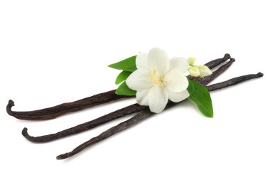 Beyaz çiçekli Beyaz arka plan üzerinde izole vanilya çubukları 