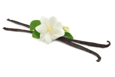 Beyaz çiçekli Beyaz arka plan üzerinde izole vanilya çubukları 