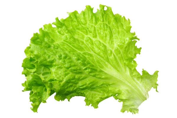 Egy saláta levél elszigetelt fehér background — Stock Fotó