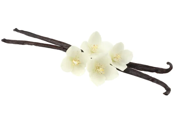 흰 꽃 흰 배경에 고립 된와 바닐라 스틱 — 스톡 사진