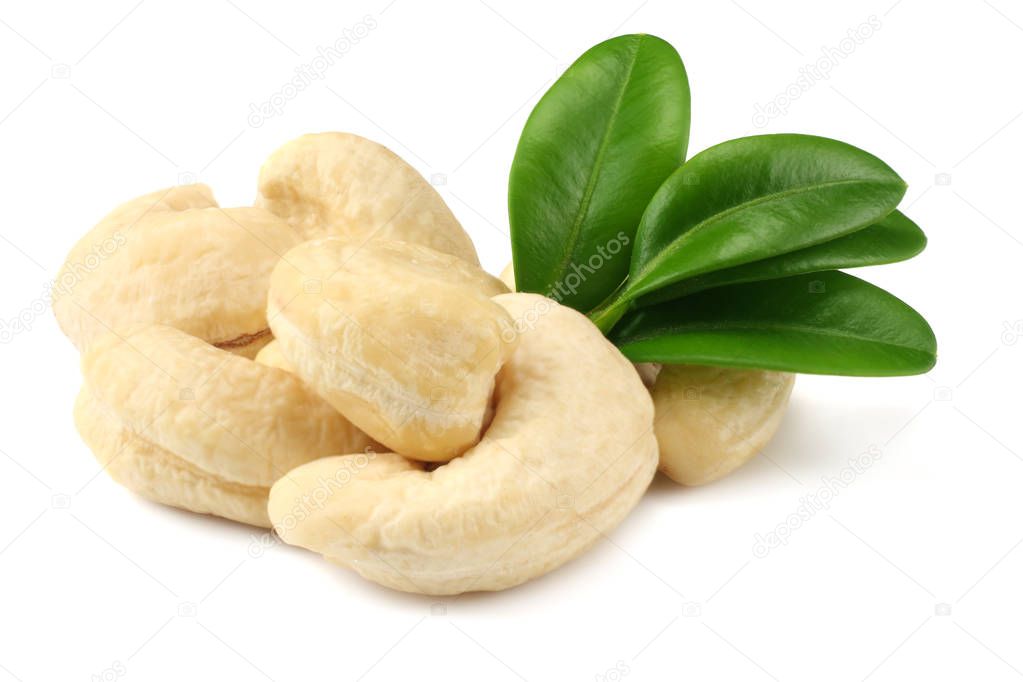 cashew with green leaves isolated on white background 