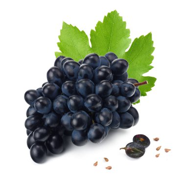 beyaz izole yaprakları ile mavi üzüm meyveleri. 