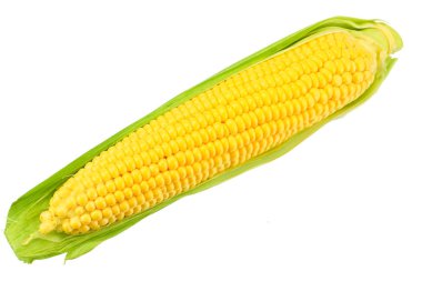 Beyaz arka planda izole koçan üzerinde taze mısır 