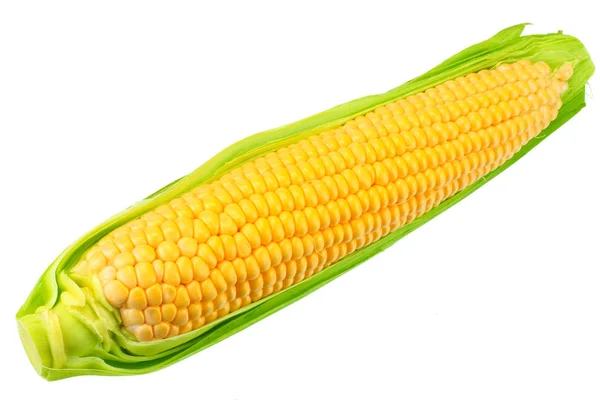 新鲜玉米在玉米棒上隔离在白色背景 — 图库照片
