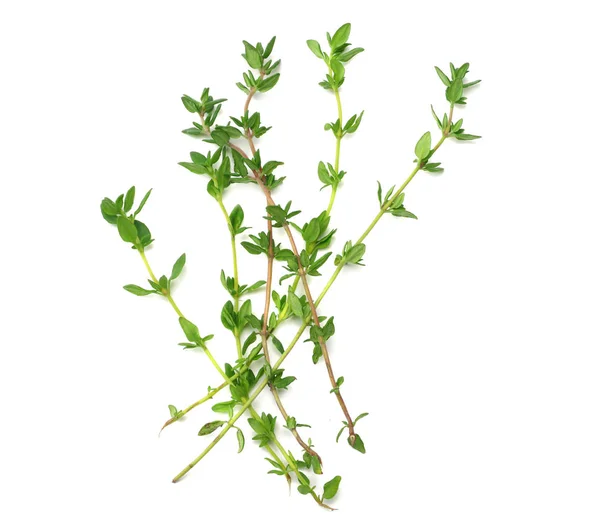 Green thyme bunch isolated on white background. top view — Stock Photo, Image