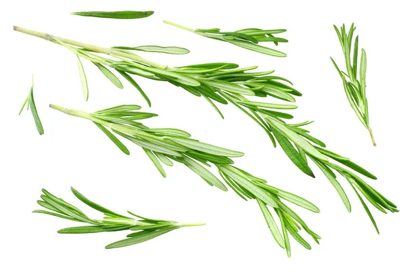 Rosemary leaves isolated on white background. top view — Stock Photo, Image