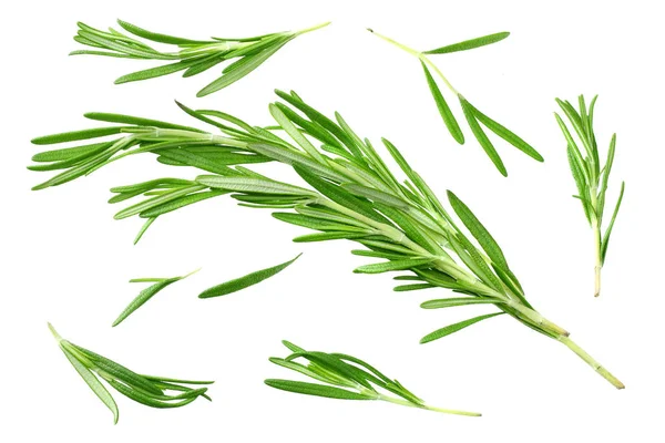 Rosemary leaves isolated on white background. top view — Stock Photo, Image
