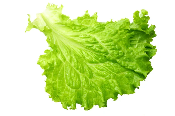 Один лист салата изолирован на белом фоне — стоковое фото