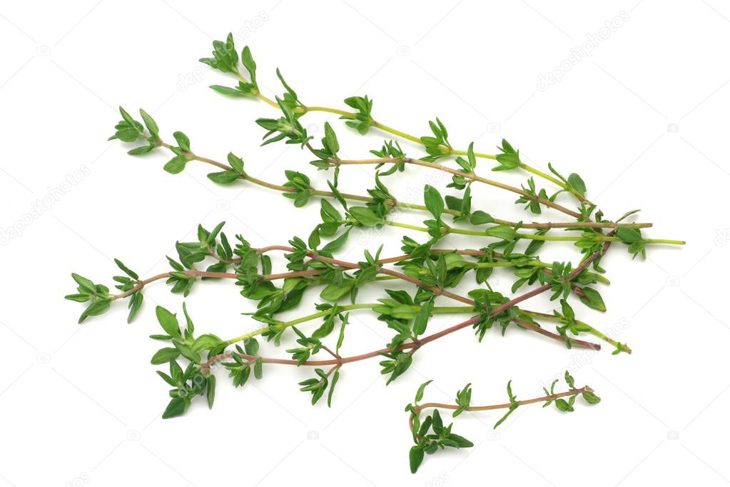 green thyme bunch isolated on white background. top view 