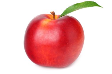 beyaz bir arka plan üzerinde izole yeşil yapraklı nektarin 