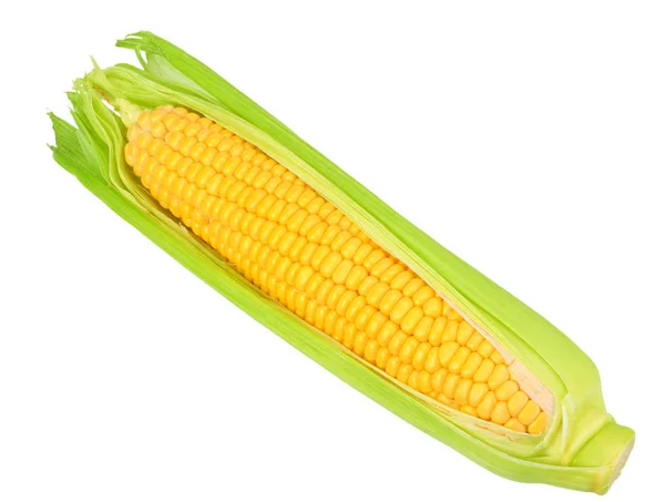 Čerstvá kukuřice na klasy izolovaná na bílém pozadí — Stock fotografie
