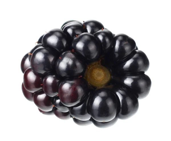 One blackberry isolated on white background. macro — Stock Photo, Image