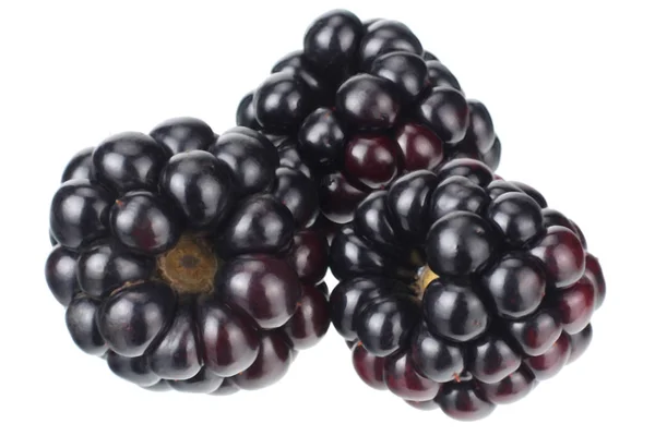 在白色背景上分离的黑莓。宏观 — 图库照片