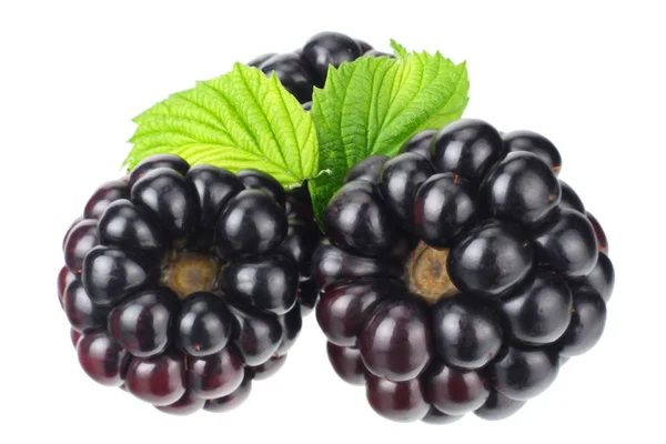 Brombeere mit grünem Blatt isoliert auf weißem Hintergrund. Makro — Stockfoto