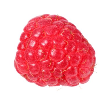 Beyaz arka planda izole edilmiş olgun bir ahududu. 