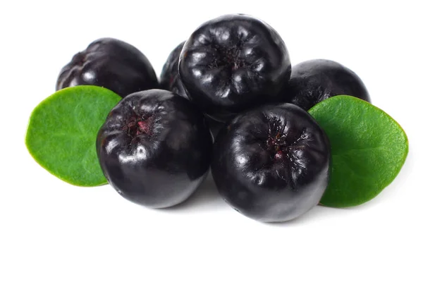 Chokeberry com folhas verdes isoladas em fundo branco. Aronia negra — Fotografia de Stock