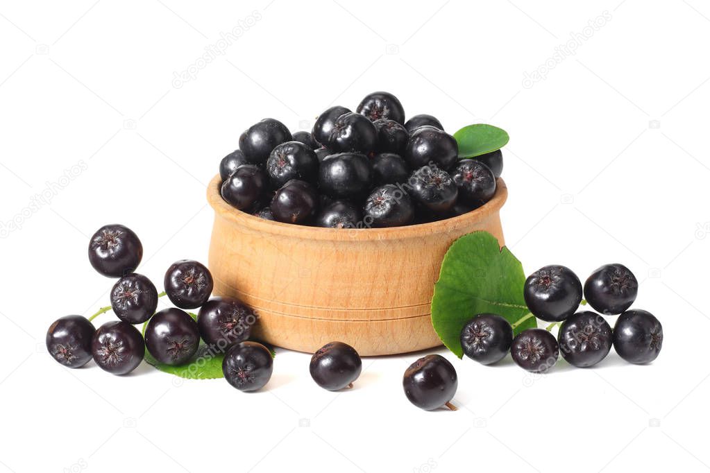 Chokeberry in wooden bowl with green leaves isolated on white background. Black aronia 